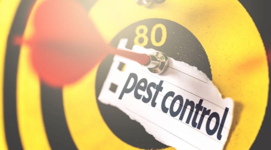 Professional pest control services in North Charleston - Loop Fence